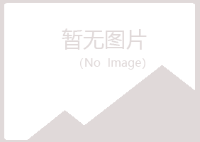 林芝县冰夏能源有限公司